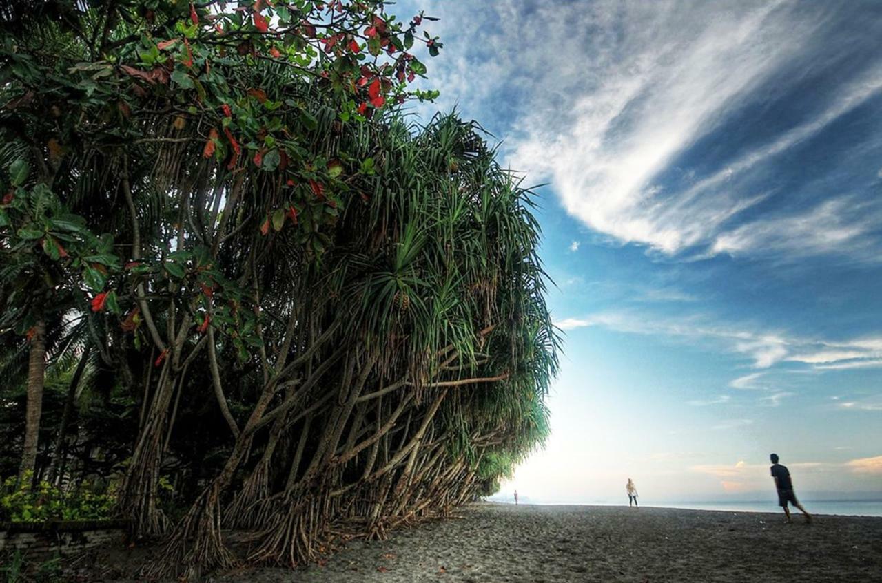 Puri Saron Senggigi Hotel Dış mekan fotoğraf
